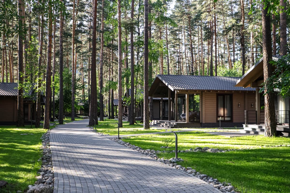 Орлиное гнездо (Алтай)