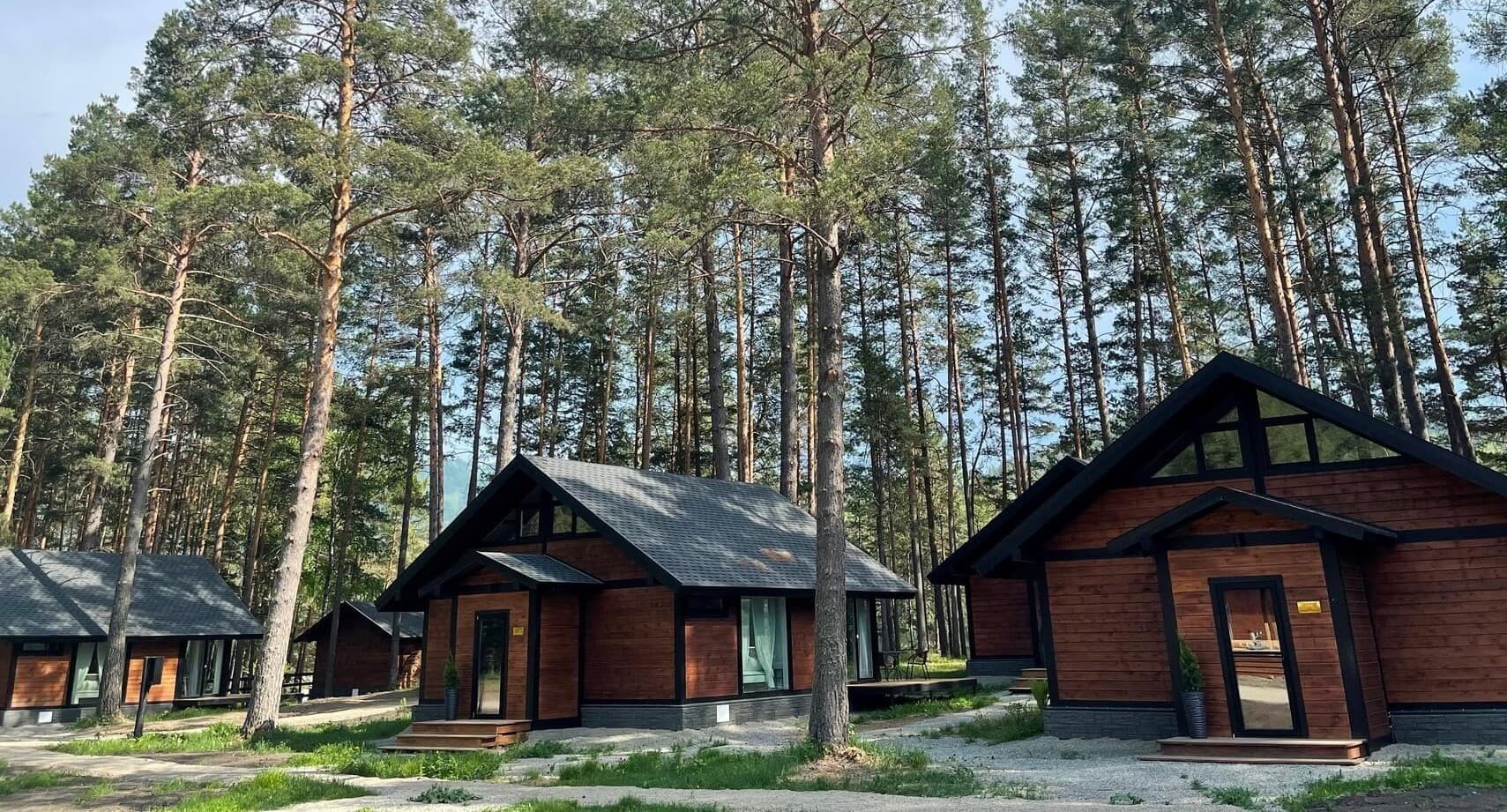 Шелест (Алтай)